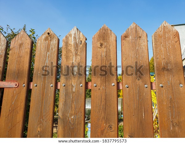 Fence palisade fence on blue sky background.
Pointed logs, old wood
texture.