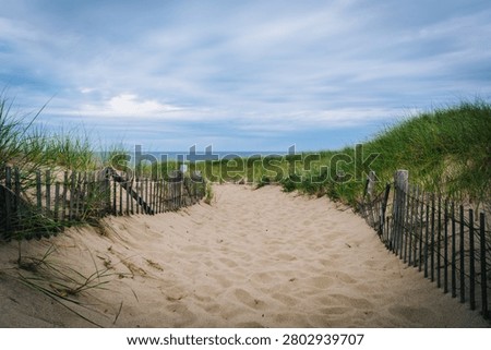 Fence and path through sand dunes at Race Point, in the Province Lands at Cape Cod National Seashore, Massachusetts.
