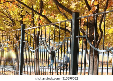 fence pattern perspective