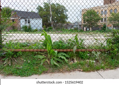 Fence With Plants In Front Of A Vacant Lot In Logan Square Chicago