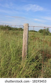 Fence post.