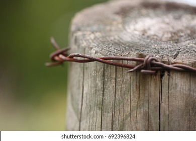 Fence post with old barbed wire