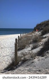 Fence Posts at Sandy Beach