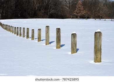 Fence posts in the snow
