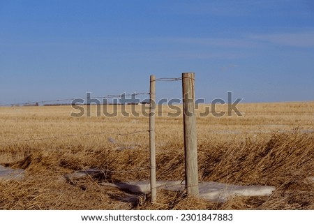 Fence posts with wire around a farm in Alberta
