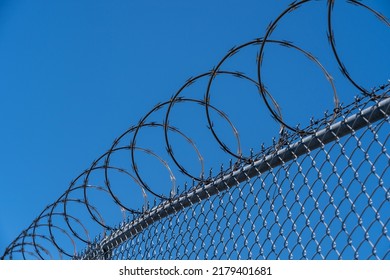 Fence with razor wire with blue sky in background. 
Razor wire is made up of high tensile core wire and a punched steel tape with sharp barbs at close intervals uniformly.
 - Shutterstock ID 2179401681