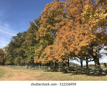 Fence row with colorful trees in autumn