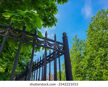 A fence with sharp tips on a background of green chestnut leaves and blue sky - Powered by Shutterstock