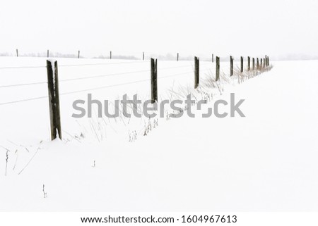 Image, Stock Photo My garden fence. Landscape