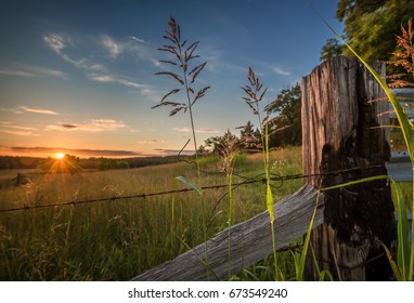 Fence at Sunset
