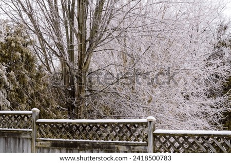 Fence and trees covered in freezing rain and icicles after a storm in a suburban backyard