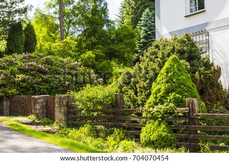 Fenced Backyard garden