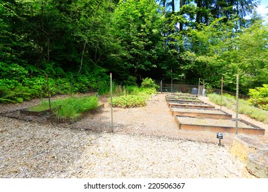 Fenced backyard garden bed