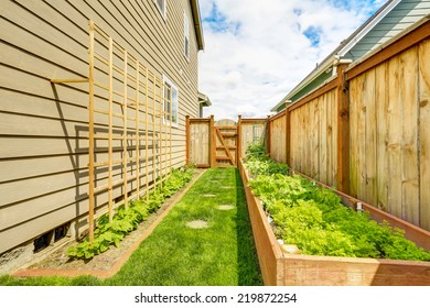 Fenced Backyard With Garden Beds, Wooden Grid Attached To The Wall