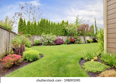 Fenced backyard. View of lawn and  blooming flower beds