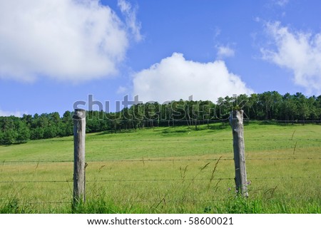 Fenced field