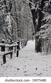 Fenced line path with new fallen snow.