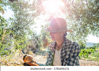 Fenced Portrait Of Young Latin Woman In Straw Hat And Blue Plaid Shirt Peeling Onion In The Shade Of An Olive Tree