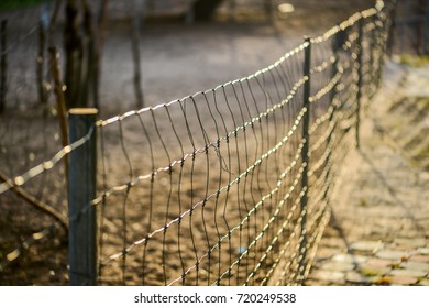 Fences and sunset