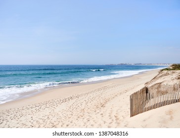 Fences and vegetation on the white dunes at beach in portugal, with the blue ocean in the back