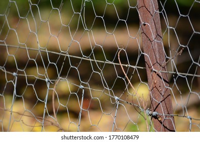 Fencing Chicken Wire Fence Hexagonal Pattern Rustic