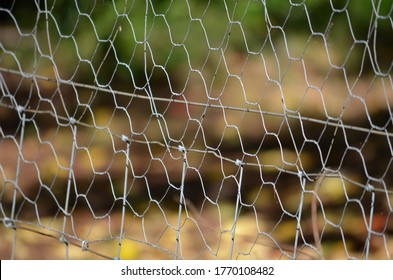 Fencing Chicken Wire Fence Hexagonal Pattern Rustic