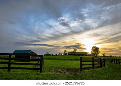 Fencing of paddocks of lush green kentucky bluegrass on a Kentucky horse farm at sunset. - Powered by Shutterstock