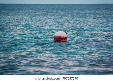 Fender Floating In The Sea