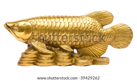 Feng Shui Arowana Fish