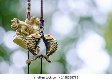 Feng Shui Chimes, Golden Couple Fish Chimes Hanged Outside The House, Symbol Of Abundance And Richness In Chinese Culture