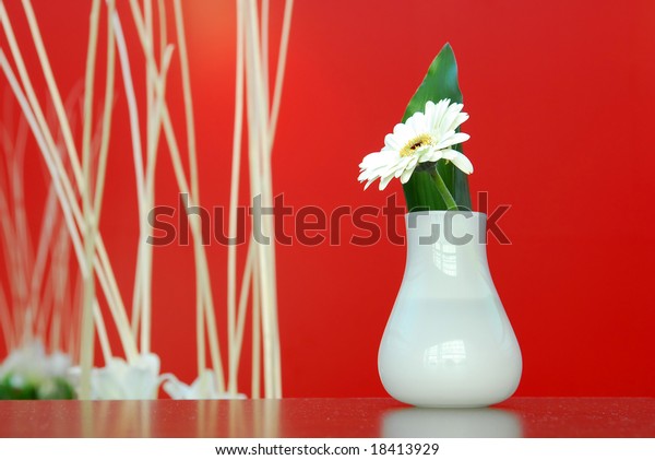 Feng Shui Decoration White Flower Vase Nature Interiors Stock Image