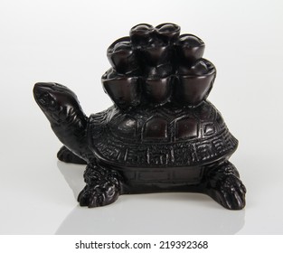 Feng Shui  Turtle Carrying Money