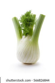 Fennel Bulb. Single fresh fennel bulb with leaves on white background.