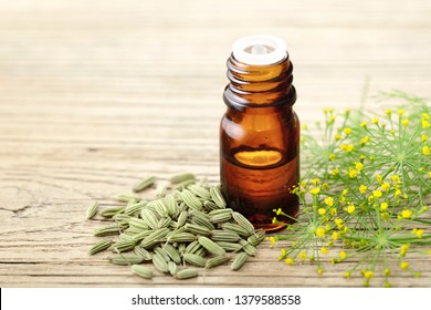fennel essential oil in the glass bottle, with seeds and flowers, on the wooden board