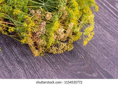 fennel on the table