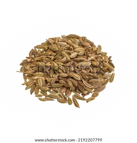 Fennel is a perennial flowering plant, Foeniculum vulgare, in the carrot family, native of the Mediterranean region. It is a highly flavorful herb used in cooking. 