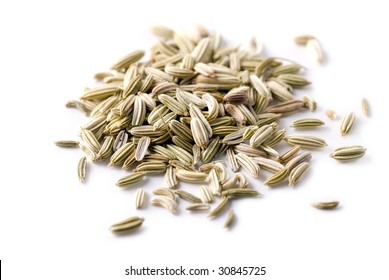 Fennel Seeds