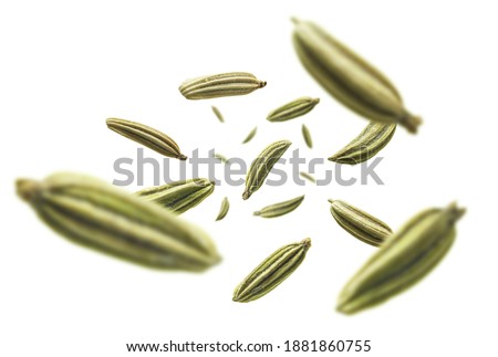 Fennel seeds levitate on a white background