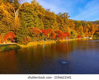 Feofaniya Park In Autumn In Summer Day , Kyiv, Ukraine