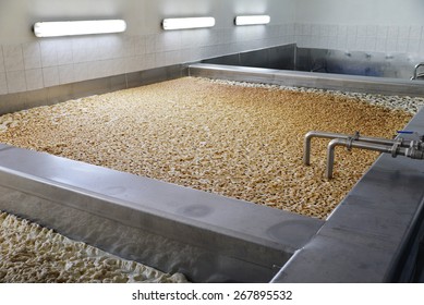 The Fermentation Of Beer