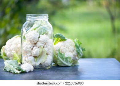 Fermentation of cabbage cauliflower concept, pickles. Cabbage inflorescences in a jar, on a natural green background, space for text - Shutterstock ID 2210336983