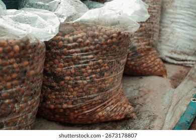Fermentation of coffee cherries in post-harvest processing. experimental coffee