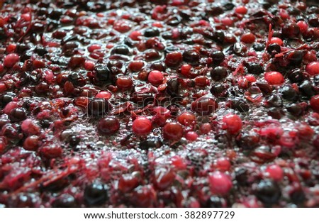 Fermentation of the pulp from berries for wine 
