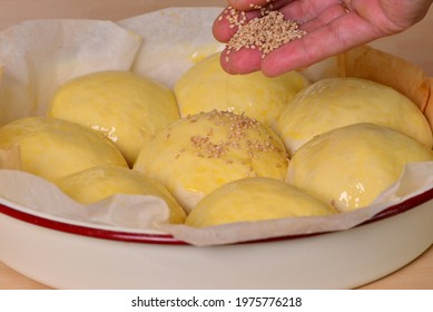Fermented milk buns with egg wash with baker's hand decorating bread buns with sesame seeds in baking pan on wooden table; delicious, fluffy rolls with milk bread dough ready to bake