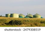 Fermenter of a biogas plant , in which the biomass is fermented into biogas, Biogas plant for the production of biogas