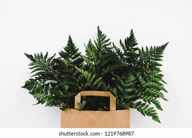 Fern branches in brown shopping paper bag on white, eco lifestyle concept - Powered by Shutterstock