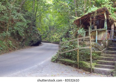 Fern Gully In Jamaica, Caribbean