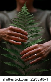 A fern leaf in a woman's hands. Unity with nature