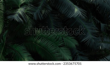 Similar – Image, Stock Photo Green fern background Fern