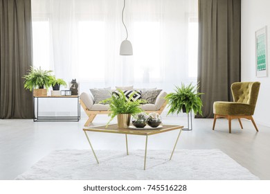 Fern On A Table In Monochromatic Living Room With Green Chair, Olive Curtains And Grey Sofa
